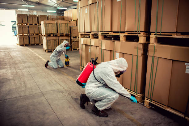 Best Pest Removal Services  in Glencoe, MN