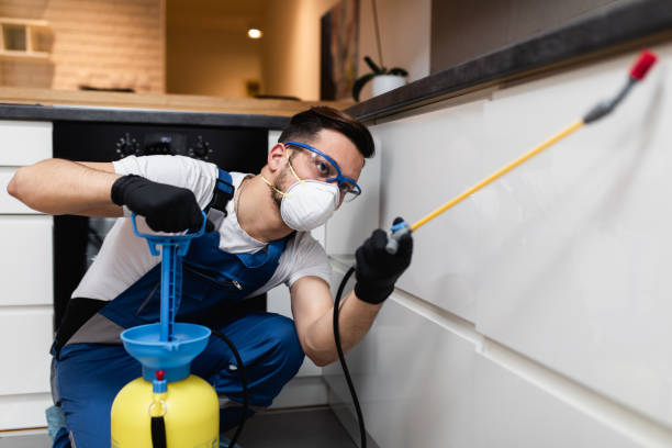 Professional Pest Control in Glencoe, MN