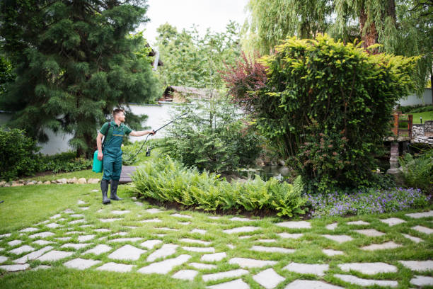 Best Exterminator Services  in Glencoe, MN