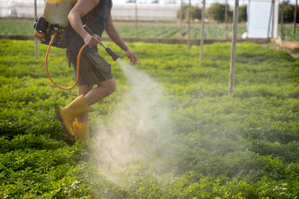 Best Best Pest Control Companies  in Glencoe, MN