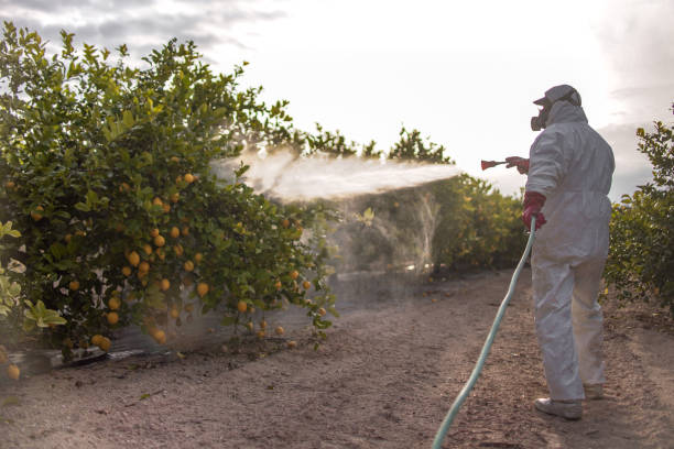 Best Commercial Pest Control Services  in Glencoe, MN