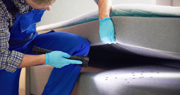 Best Mosquito Control Services  in Glencoe, MN