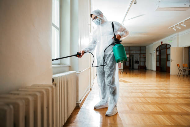 Best Affordable Pest Control Services  in Glencoe, MN