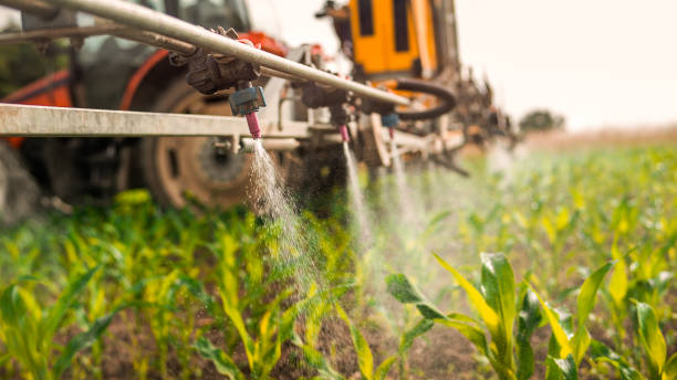 Best Wildlife Control Services  in Glencoe, MN
